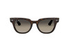 Ray Ban Icons – Meteor RB2168 902/32 - 1