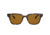 Ray-Ban Square Shape RB4323 710/33