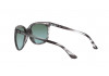 Ray-Ban Icons – CATS 1000 RB4126 6430T6 - 3