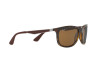 Ray Ban Active – Square Shape RB4267 710/83 - 2
