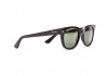 Ray Ban Icons – Meteor RB4168 601 - 2