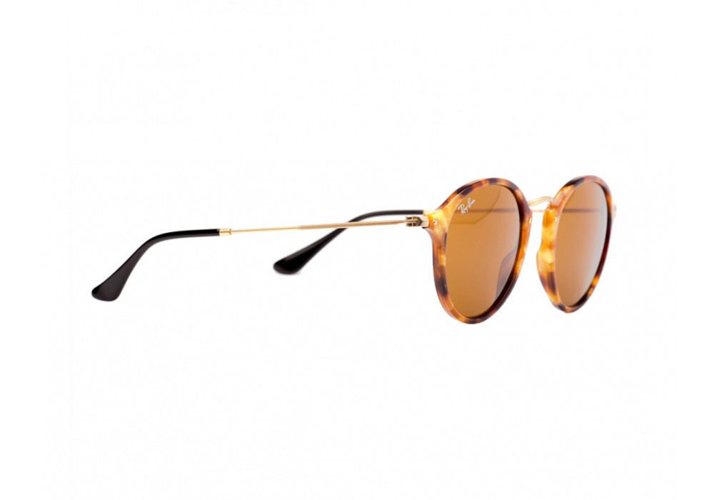 Ray Ban Icons – Round Fleck RB2447 1160 - 2