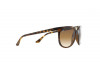 Ray-Ban Icons – CATS 1000 RB4126 710/51 - 2
