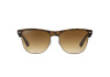 Ray Ban Icons – Clubmaster Oversized RB4175 878/51 - 1